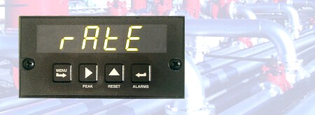 Laurel Analog Input Flow Rate Meter and Analog Flow Totalizer